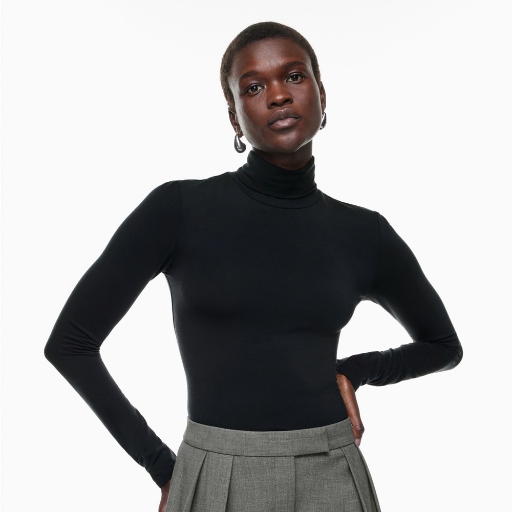 Aritzia Babaton Slim Turtleneck in Grey or Purple